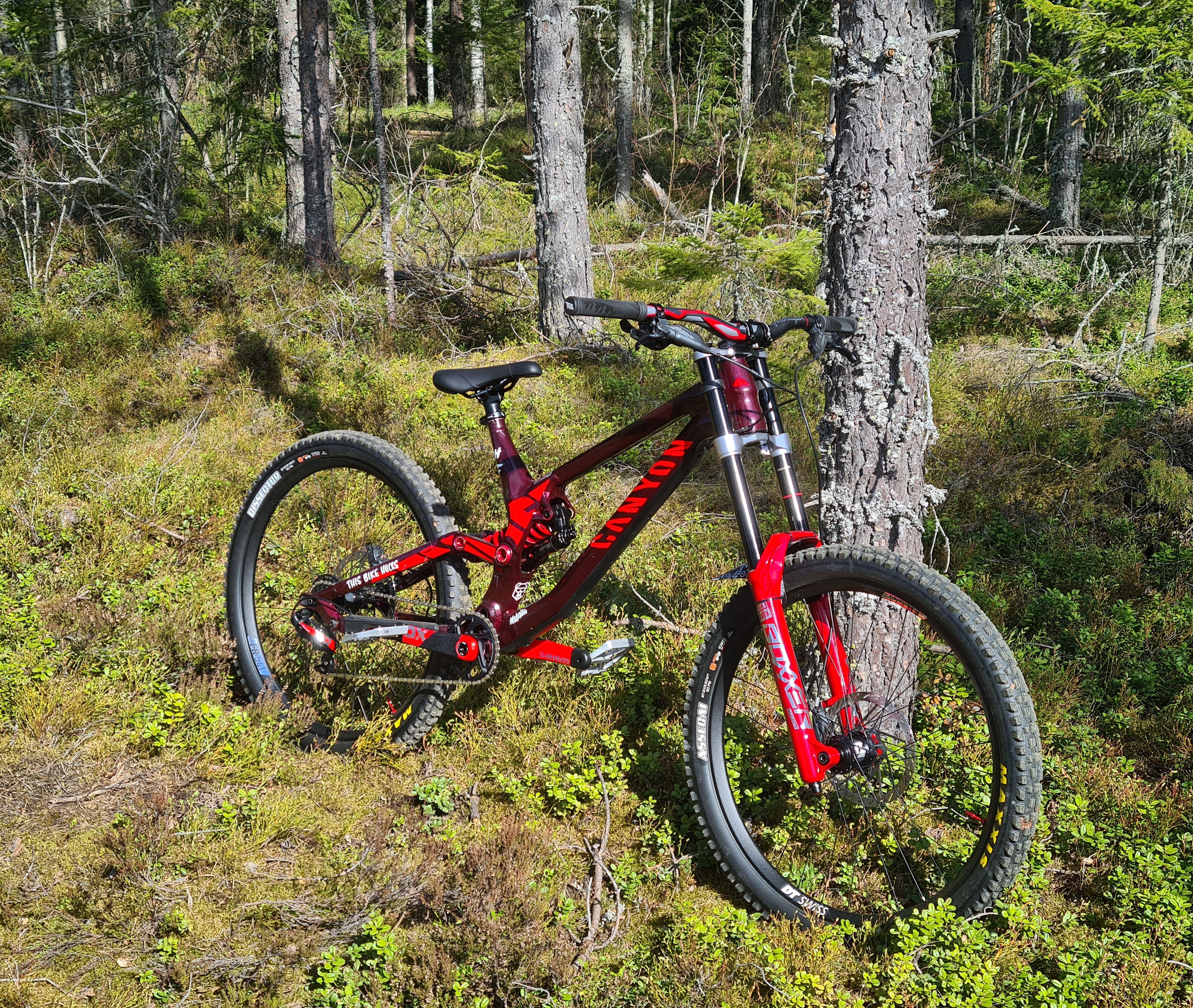 Canyon sender AL Custom Build - freeridefreak's Bike Check